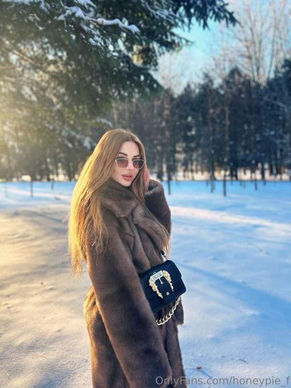 Basking in the winter sun, a radiant glow on the snowy canva..