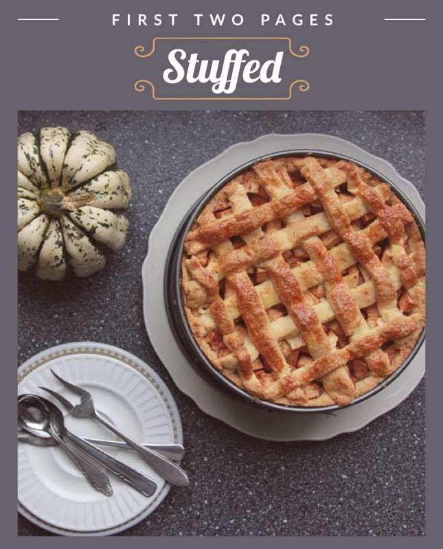 Stuffed Teaser
