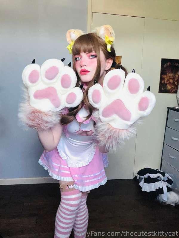 Paws 🐾 💕