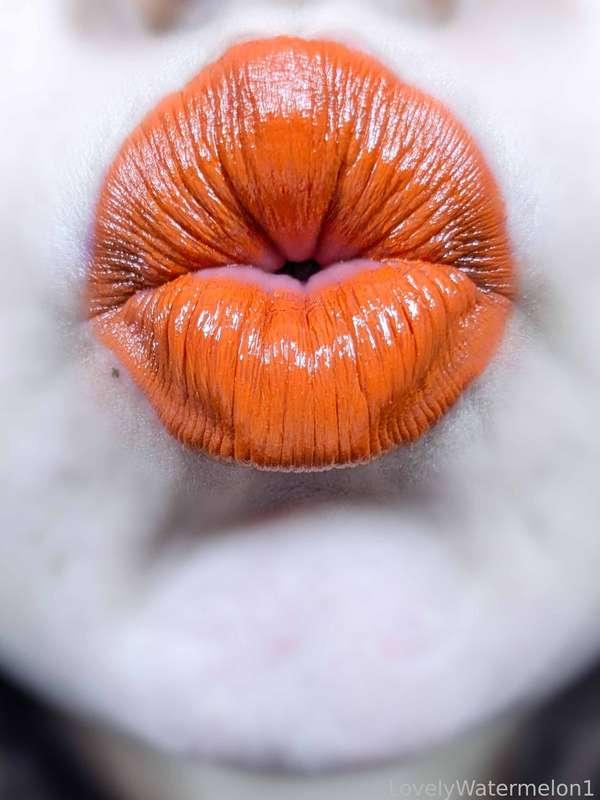 lovelywatermelon1 image #11