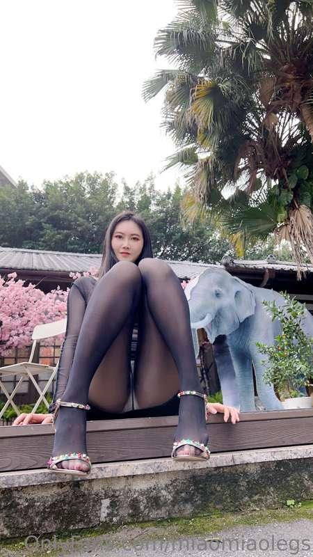 各位貓咪新年快樂😘😘兔年吉祥
感謝大家訂閱希望你們看得開心唷🫰
妙妙IG又被幹掉了😡新IG
https://www.in..