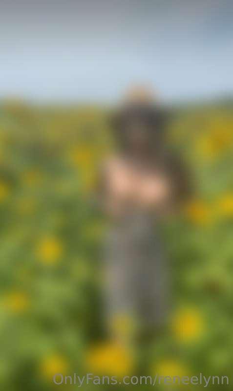Sneaky in the sunflower field, showing some 🍒🤭