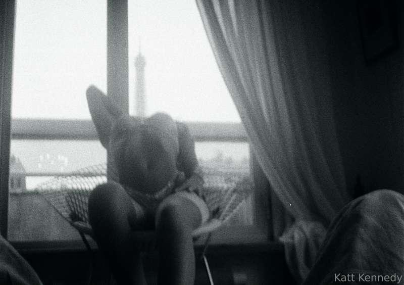 guess my body count 🙈 correct answers get a surprise in thei..