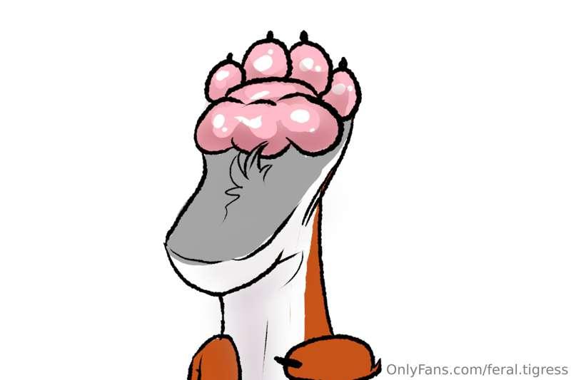 feral.tigress image #0