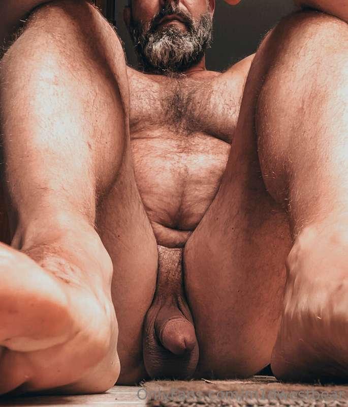m1dwestbear image #2
