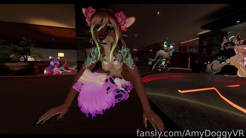 amydoggyvr image #0