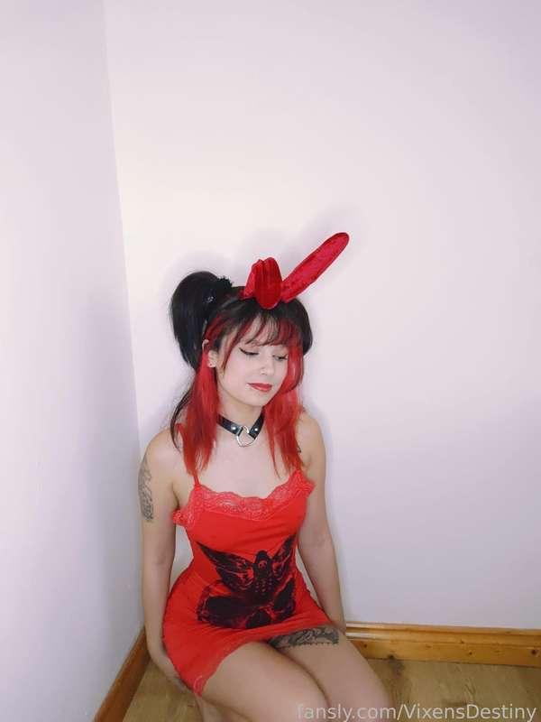 vixensdestiny image #9