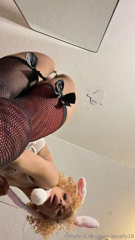 🐰🐰