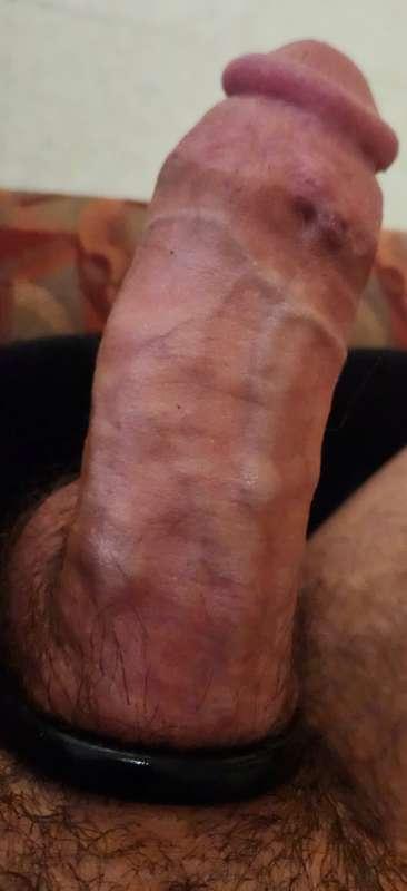 Damn its gotten thick 😵‍💫