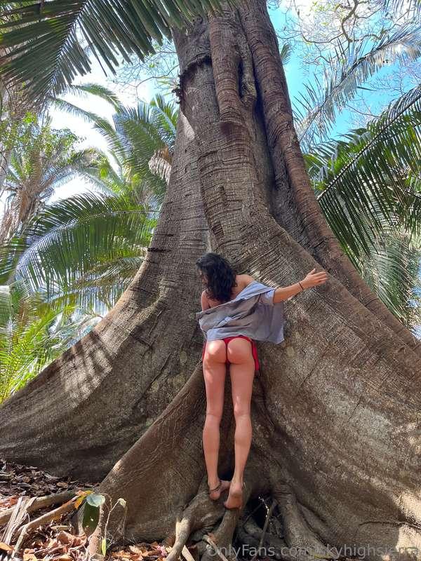 big tree energy ✨