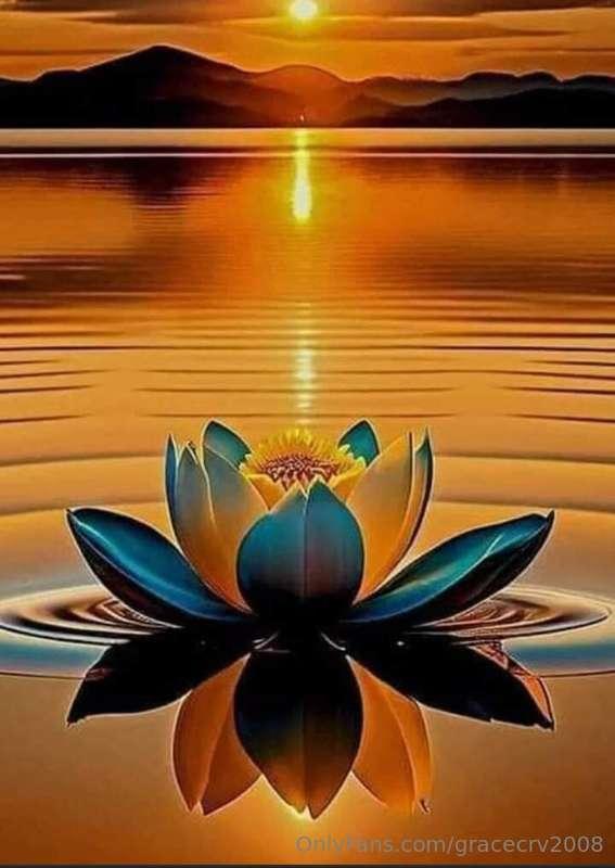 ❤️❤️❤️❤️❤️❤️❤️🔥🔥🔥🔥🔥🔥🔥🔥❤️❤️❤️❤️