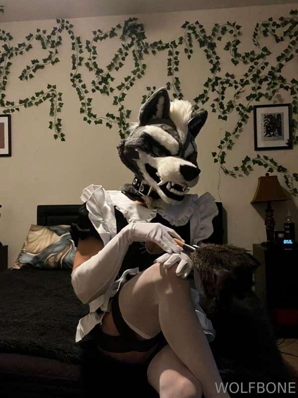 frute_brute image #0