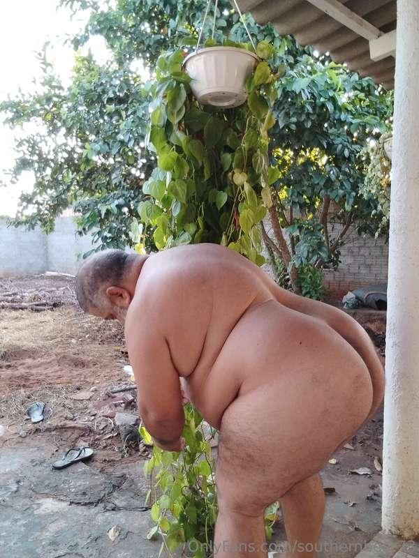Cuidando das plantas