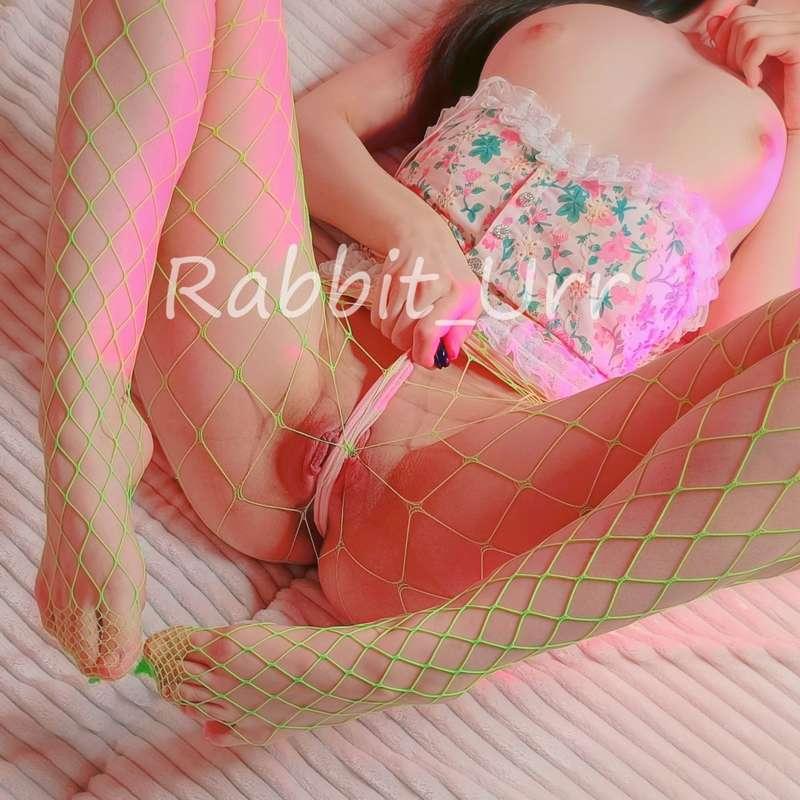 rabbit_urr image #8