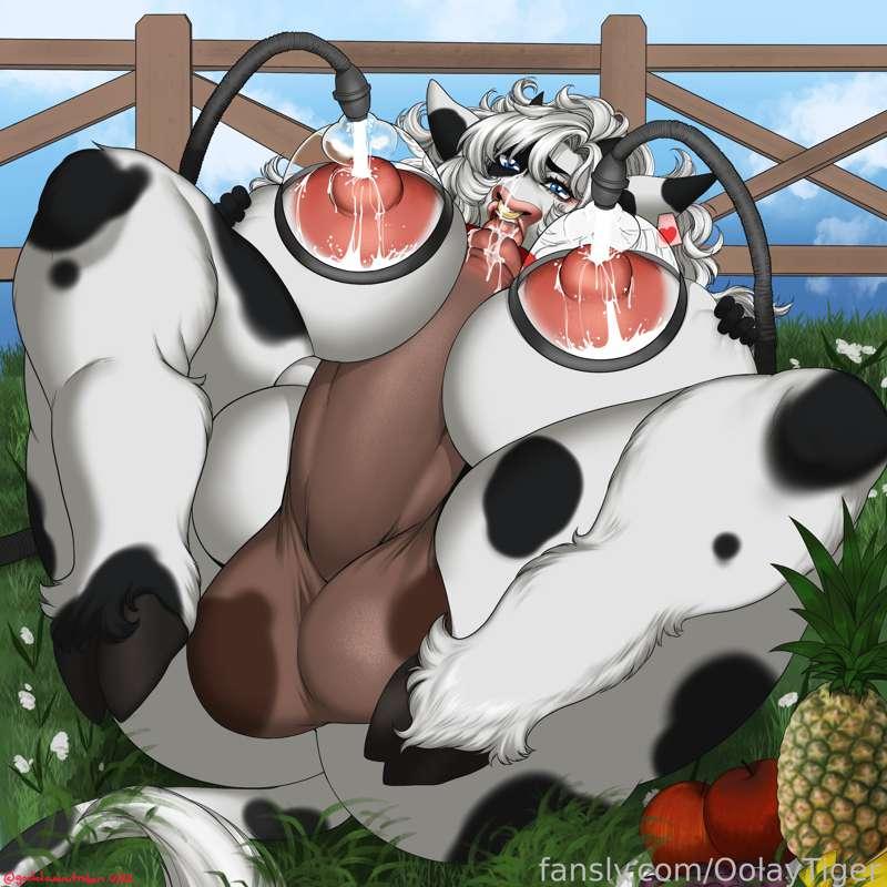 Princess from Futa Farm [PROMO ART] [NSFW]

Here's a few variants of the cover art!
Art by: https://twitter.com/goddamnitrobin1