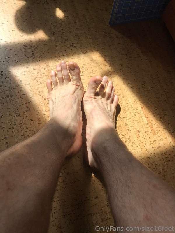 An oldie but a goodie!