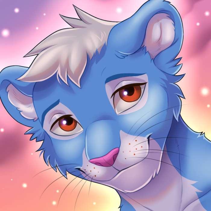 Icon Vilmy
