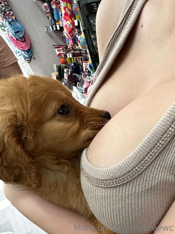 Hello 🐶
