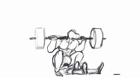 Squatting Animation Rough