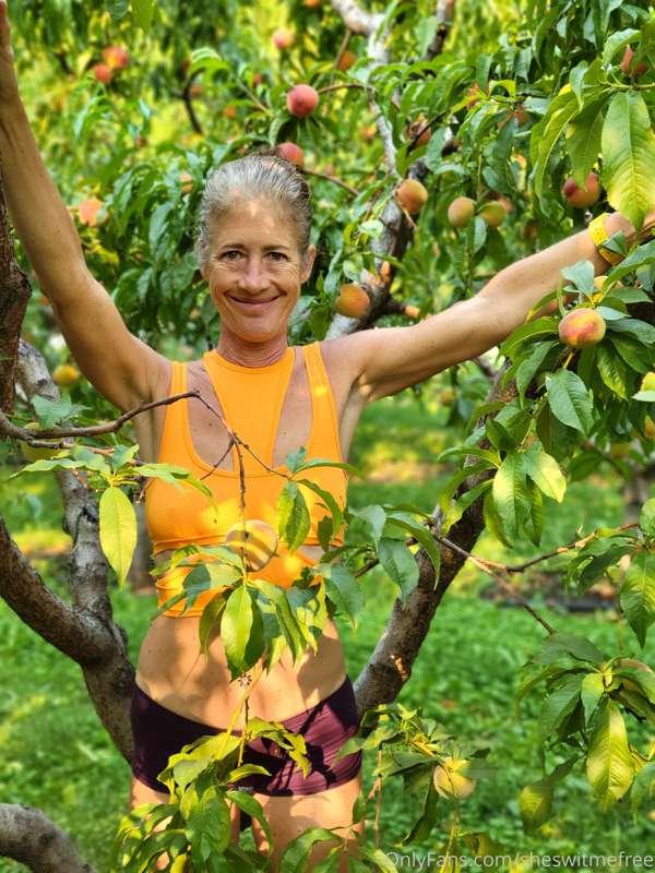 Peaches are ripe