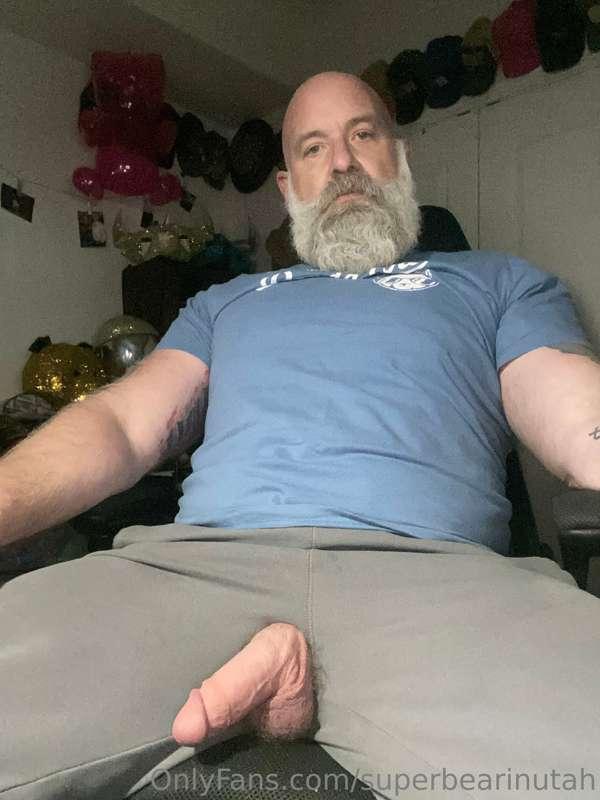 superbearinutah image #0