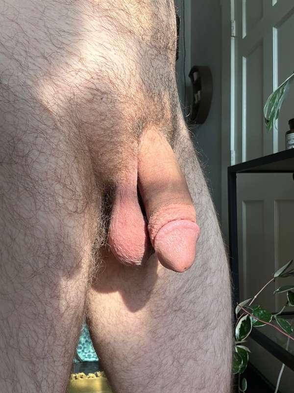 soft vs hard
