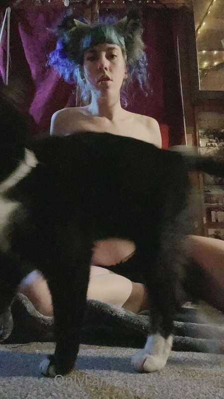 It seems my pussy needs some attention 😅