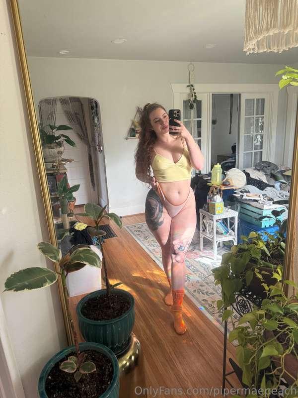 pipermaepeach image #1