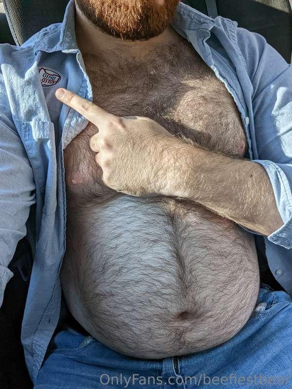 Voting is sexy 🐻