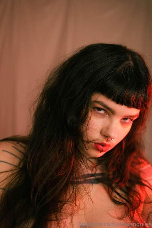 thesanguine image #6