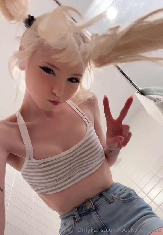 pockycatsfree image #0