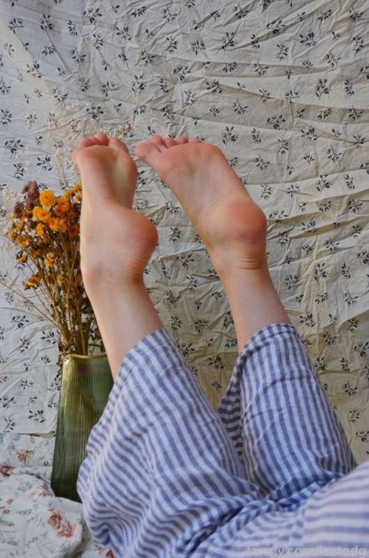 My favorite cozy home panties and of course a pedicure 😋 my heels are always sooo soft for you 🌸🌿

♡ #fyp #hairy #cozy #heels #legs #footfetish #feet #heel ♡ 