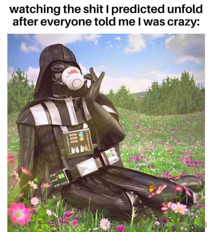 blueberry83 image #6