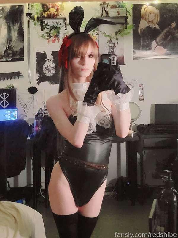 redshibe image #4