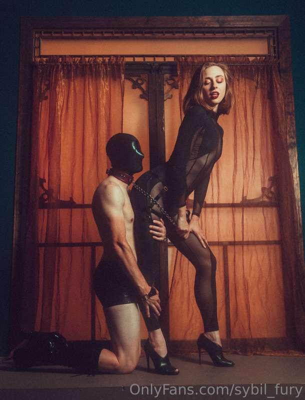 The truth is you would do anything for the privilege -- even..