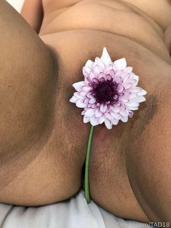 tad18 image #11