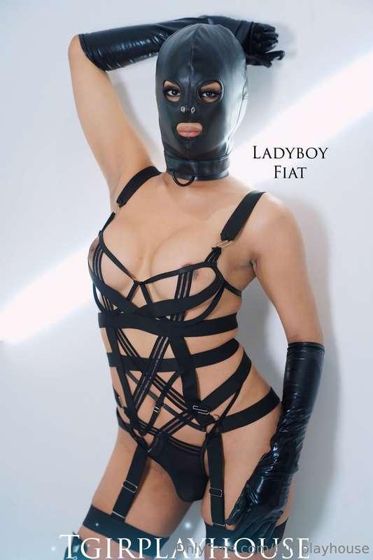tgirlplayhouse image #0