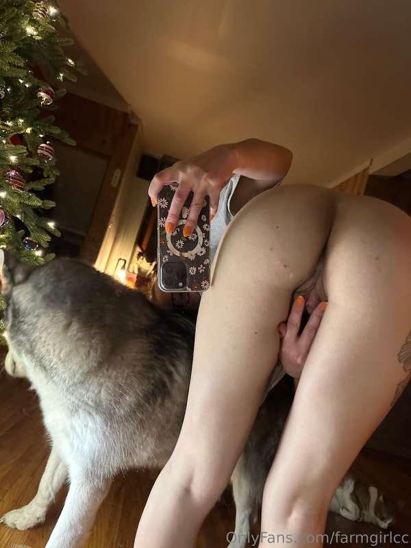 Come lick it