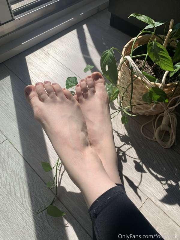 My birthday is on Thursday! 
Show your favorite feet some bi..