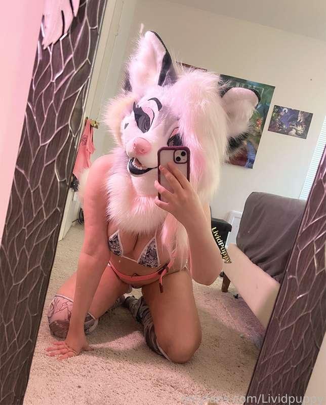She’s leaning in to tell ya a secret… 😳💞

… But it seems that’s not what you’re paying attention to 🤭

If you’d like to support me and see more, consider following, subbing, or purchasing! 💕

• #yiff #murrsuit #murrsuiter #nsfw #furry #fursuit #furryfandom #mask #costume #boobs #tits #ahegao #henrai #egirl •