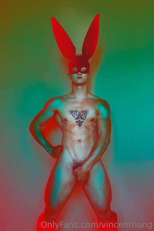 Playboy 🐰🐰