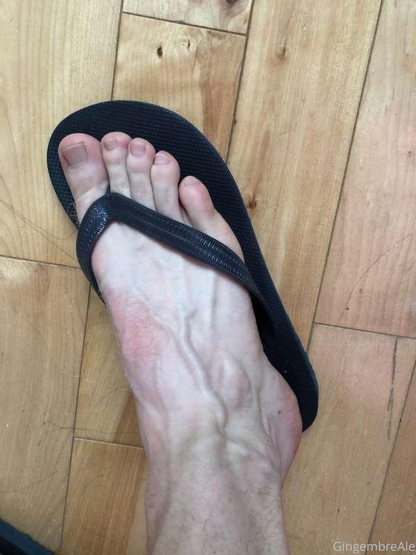 gingembreale image #0