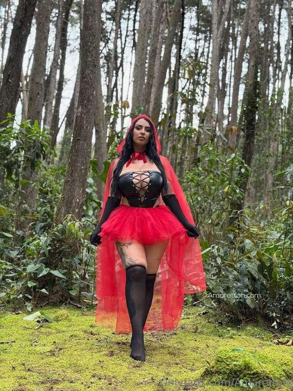 Little Red Riding Hood is looking for her wolf in the forest..