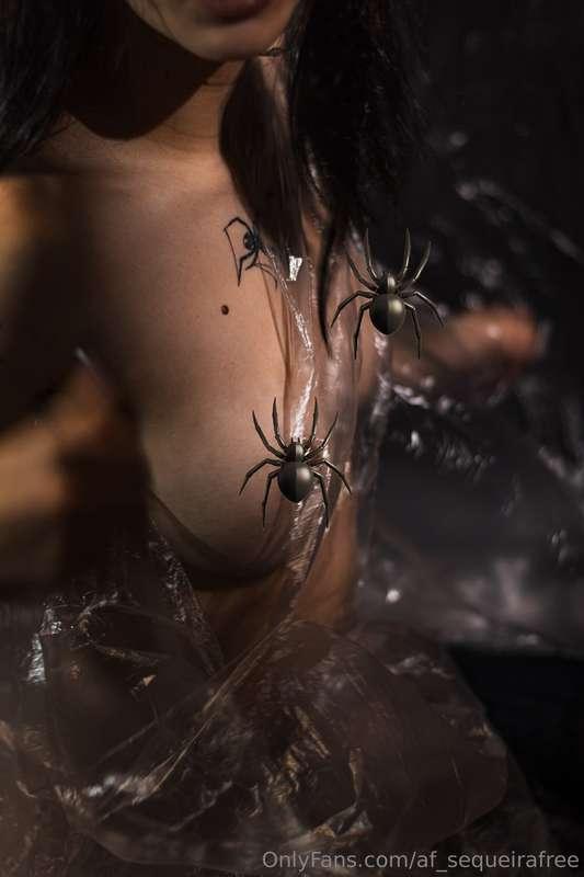 af_sequeirafree image #1