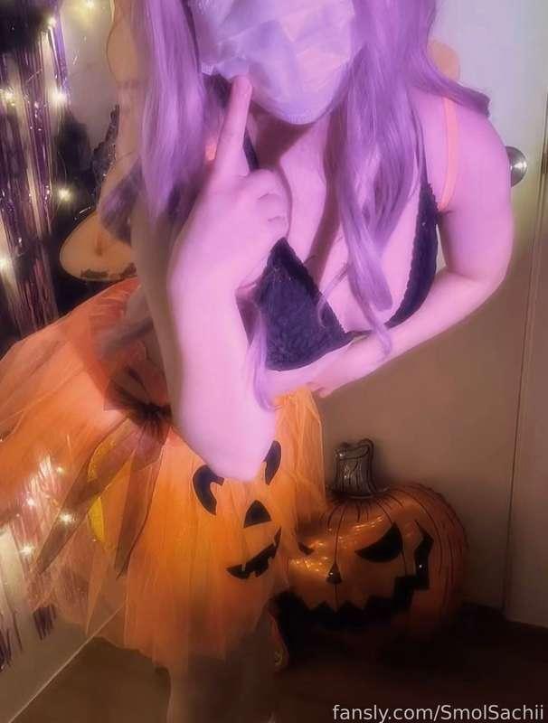 smolsachii image #2