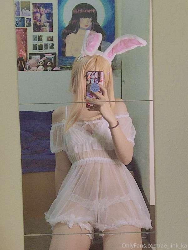 🐇🐇🐇