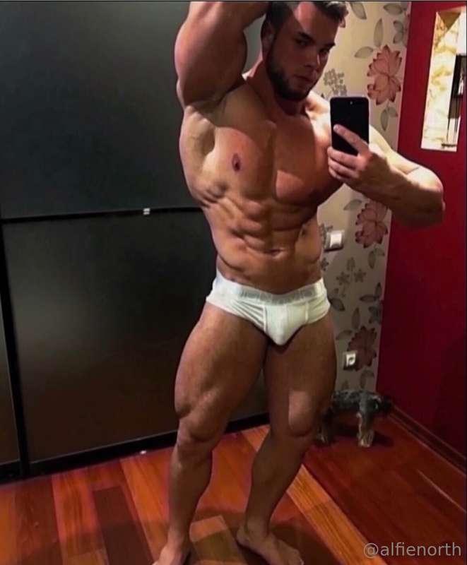 alfienorthfree image #3