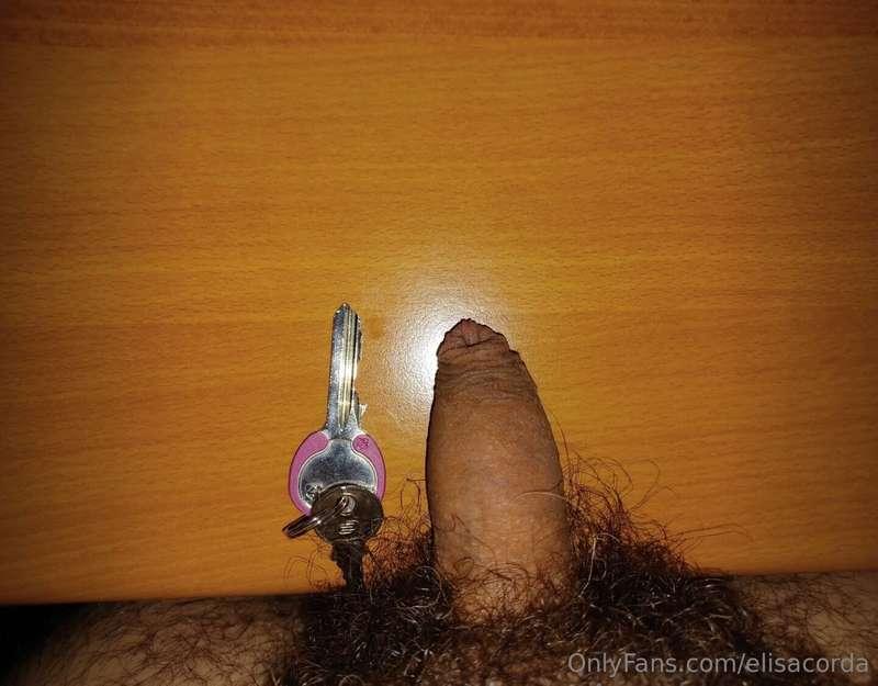 Miei adorati tesori, ho bisogno del vostro aiuto! Commentate..