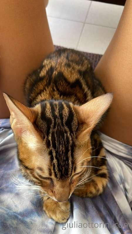 pussy^2 quale vorresti accarezzare prima? 😏