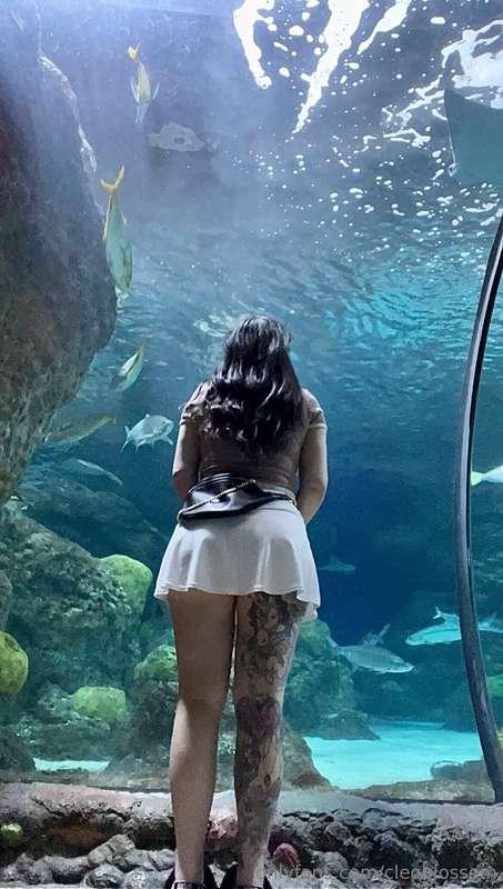 wanna hold hands at the aquarium & point at fishies ?🐡